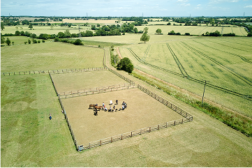 horse